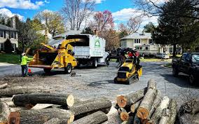 Best Emergency Tree Removal  in Defuniak Springs, FL